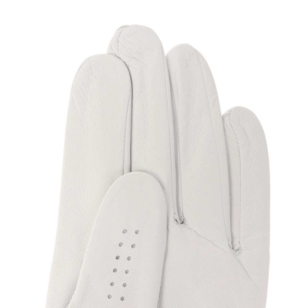 キャスコ（KASCO）（メンズ）ゴルフ 左手用 アクアフィット レギュラーサイズ GF-23251 WHT