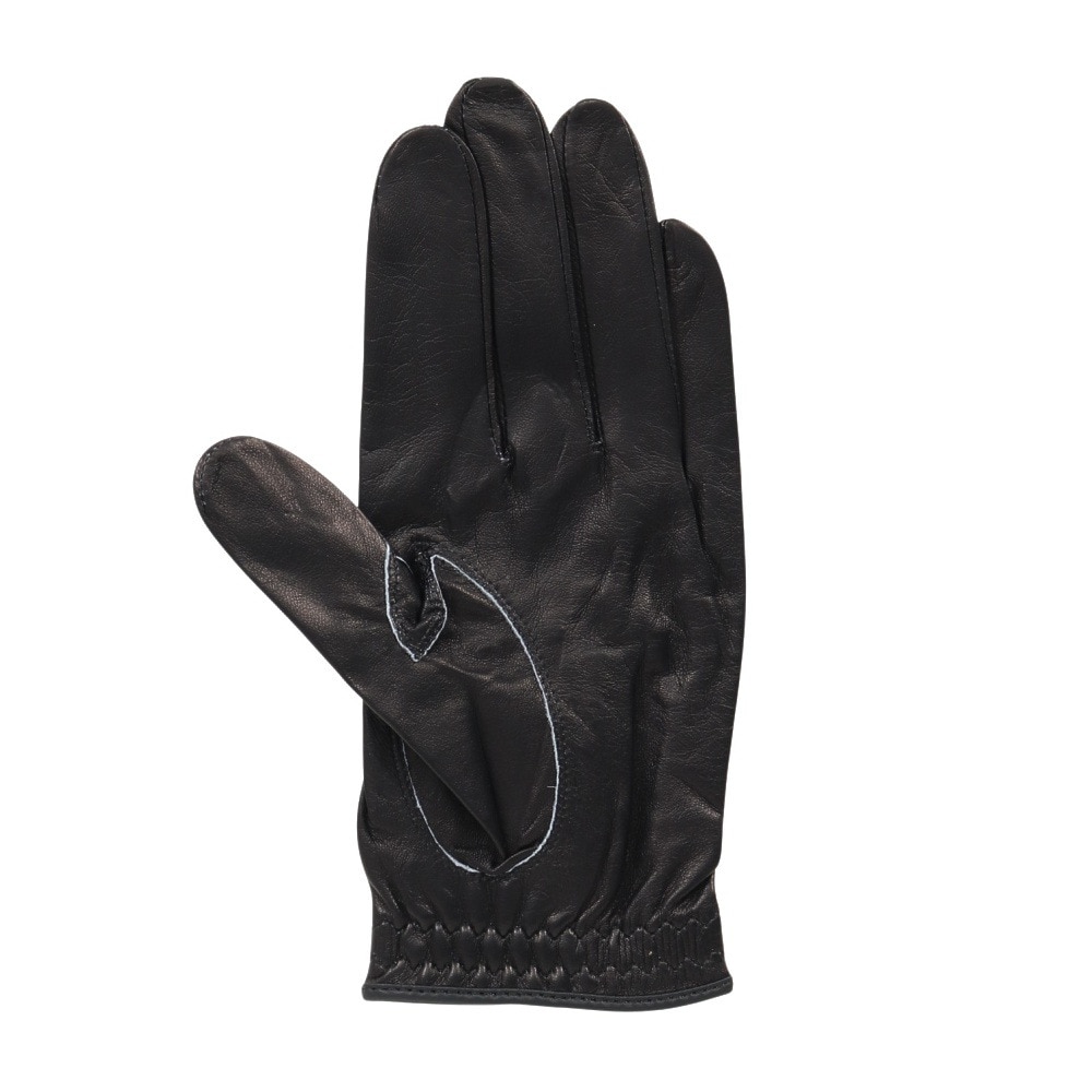 タイトリスト（TITLEIST）（メンズ）左手用 プロフェッショナル グローブ TG73BK