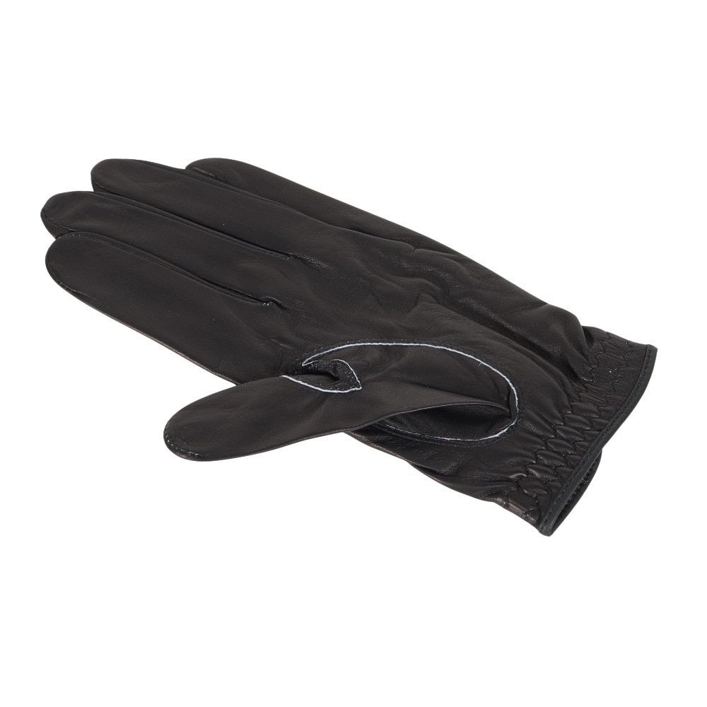 タイトリスト（TITLEIST）（メンズ）左手用 プロフェッショナル グローブ TG73BK