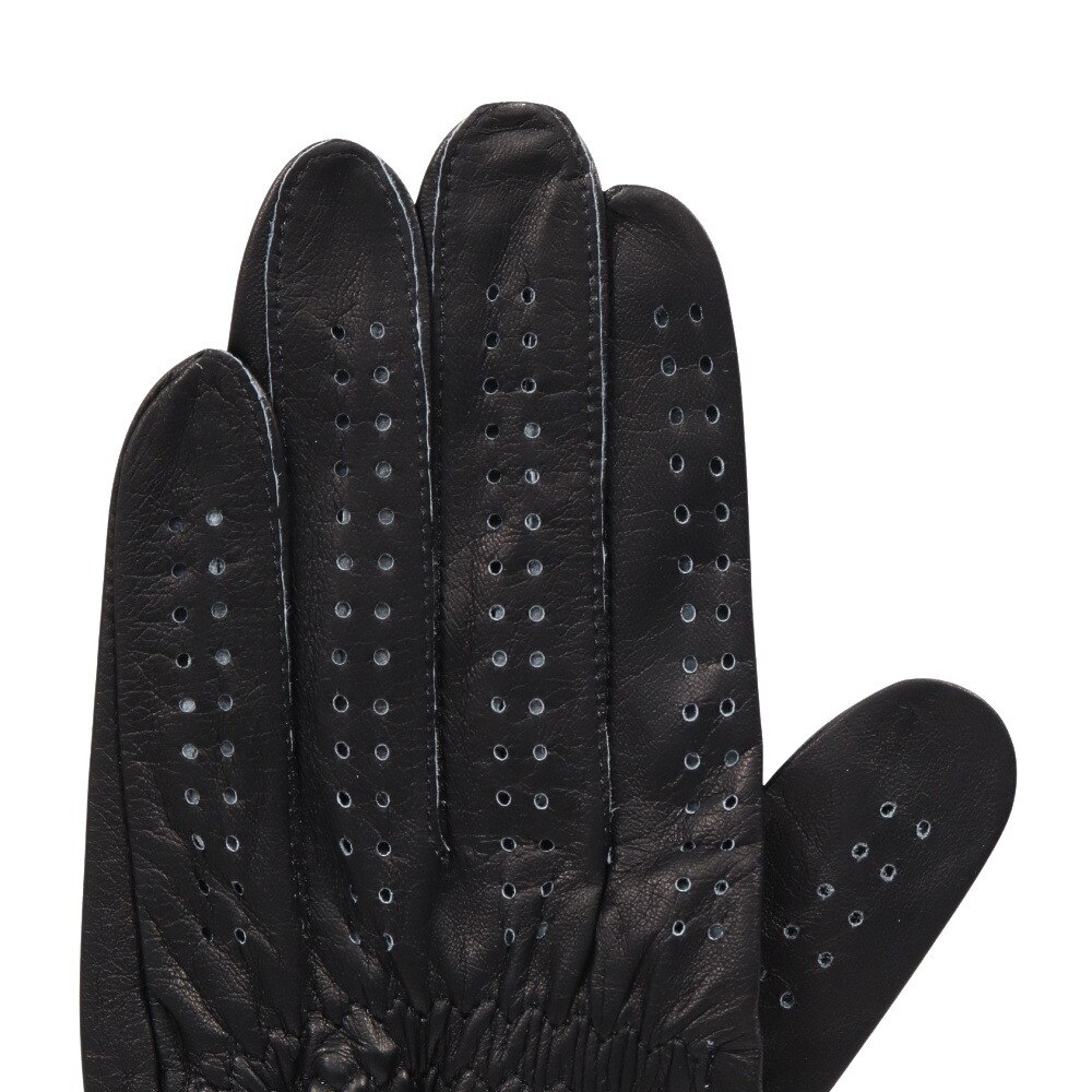 タイトリスト（TITLEIST）（メンズ）左手用 プロフェッショナル グローブ TG73BK