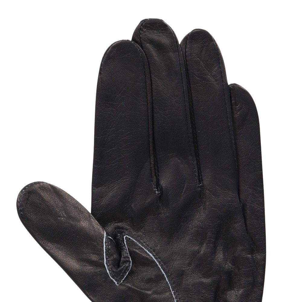 タイトリスト（TITLEIST）（メンズ）左手用 プロフェッショナル グローブ TG73BK