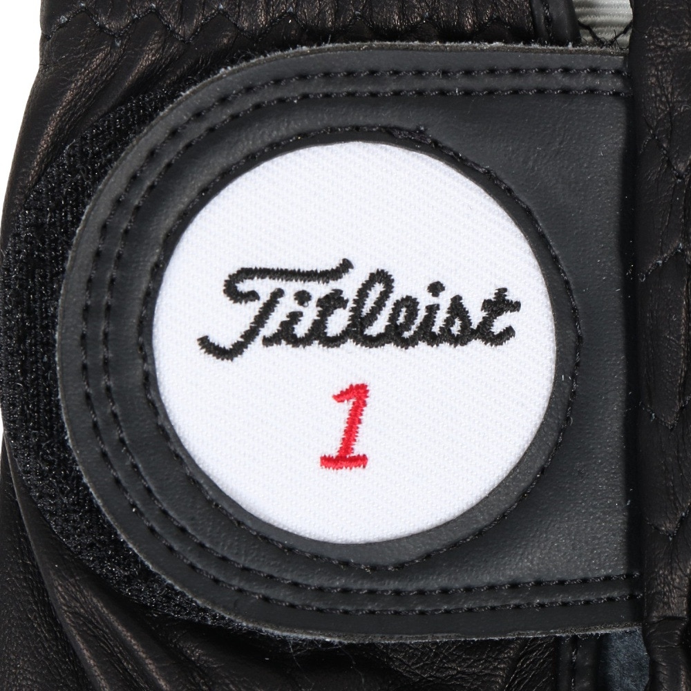 タイトリスト（TITLEIST）（メンズ）左手用 プロフェッショナル グローブ TG73BK