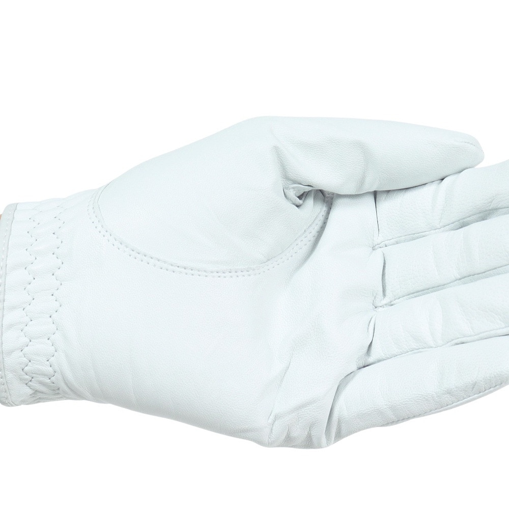 タイトリスト（TITLEIST）（メンズ）ゴルフ プロフェッショナル グローブ 左手用 23 TG73WT