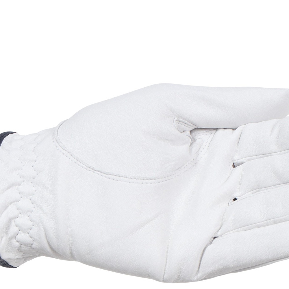 キャスコ（KASCO）（メンズ）ゴルフ 左手用 シルキーフィット レギュラーサイズ GF-23301 WHT