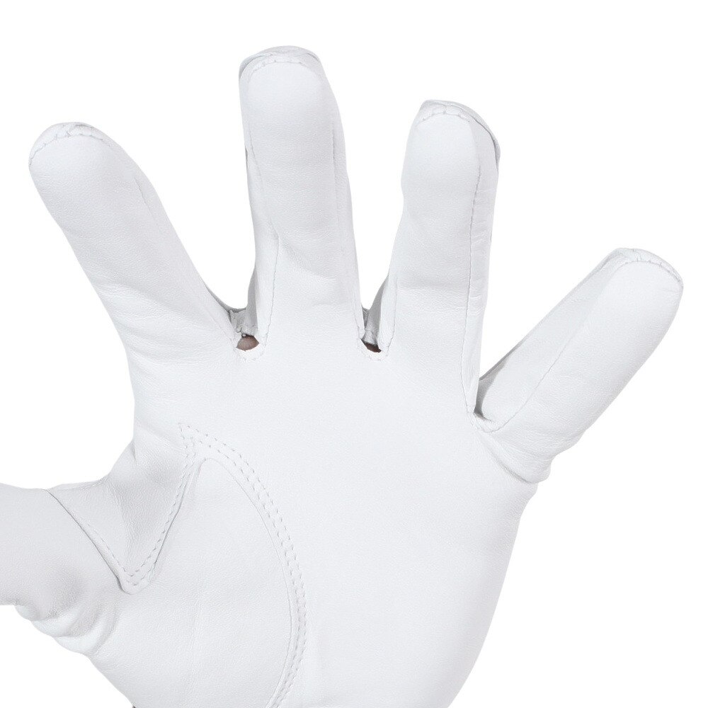 キャスコ（KASCO）（メンズ）ゴルフ 左手用 シルキーフィット キャデットサイズ GF-23302 WHT