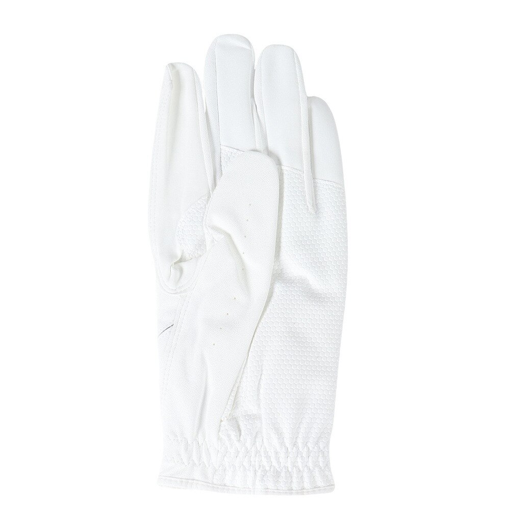 ネクスジェン（NEXGEN）（メンズ）ゴルフ 【左手用合皮】ゴルフ グローブ NEXGEN D-SPECグローブ 414NXHS9T1401 WHT★★★