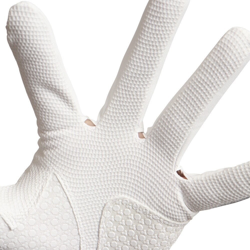 ネクスジェン（NEXGEN）（メンズ）ゴルフ 暑さ対策 ゴルフグローブ 左手用 夏 接触冷感 ひんやり 速乾 合成皮革 HIGH GRIP&DRY NGV-2101 WTGR
