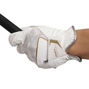 ネクスジェン（NEXGEN）（メンズ）ゴルフ 暑さ対策 ゴルフグローブ 左手用 夏 接触冷感 ひんやり 速乾 合成皮革 HIGH GRIP&DRY NGV-2101 WTGR