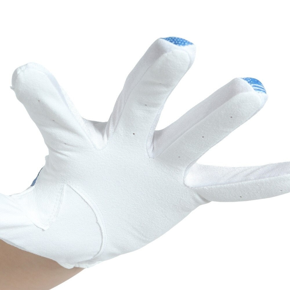ロイヤルコレクション（ROYALCOLLECTION）（メンズ）ゴルフグローブ 左手用 夏 接触冷感 吸汗速乾 HIGH GRIP&COLD RCG-2204 WH×BU
