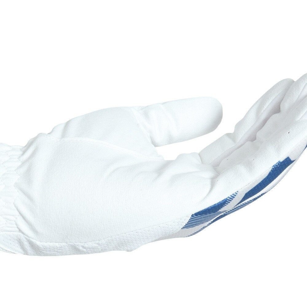 ロイヤルコレクション（ROYALCOLLECTION）（メンズ）ゴルフグローブ 左手用 夏 接触冷感 吸汗速乾 HIGH GRIP&COLD RCG-2204 WH×BU