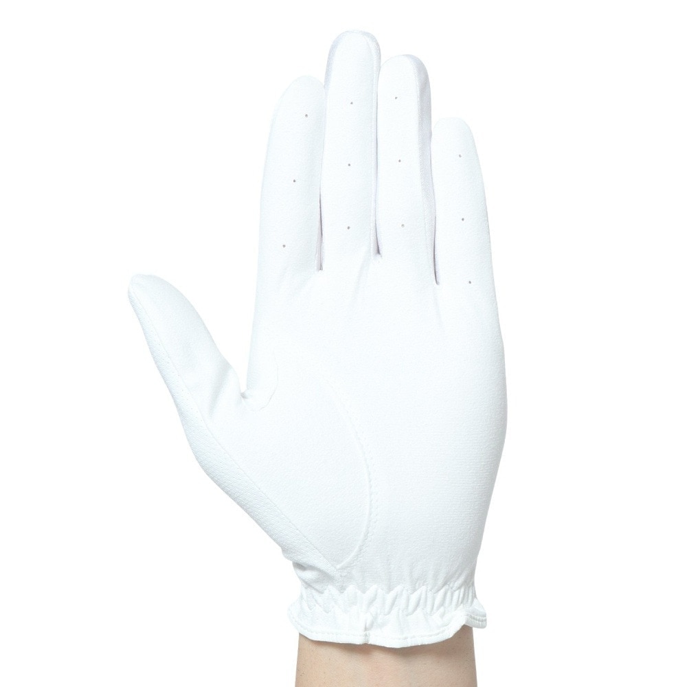 ロイヤルコレクション（ROYALCOLLECTION）（メンズ）ゴルフグローブ 左手用 夏 接触冷感 吸汗速乾 HIGH GRIP&COLD RCG-2204 WHXGY