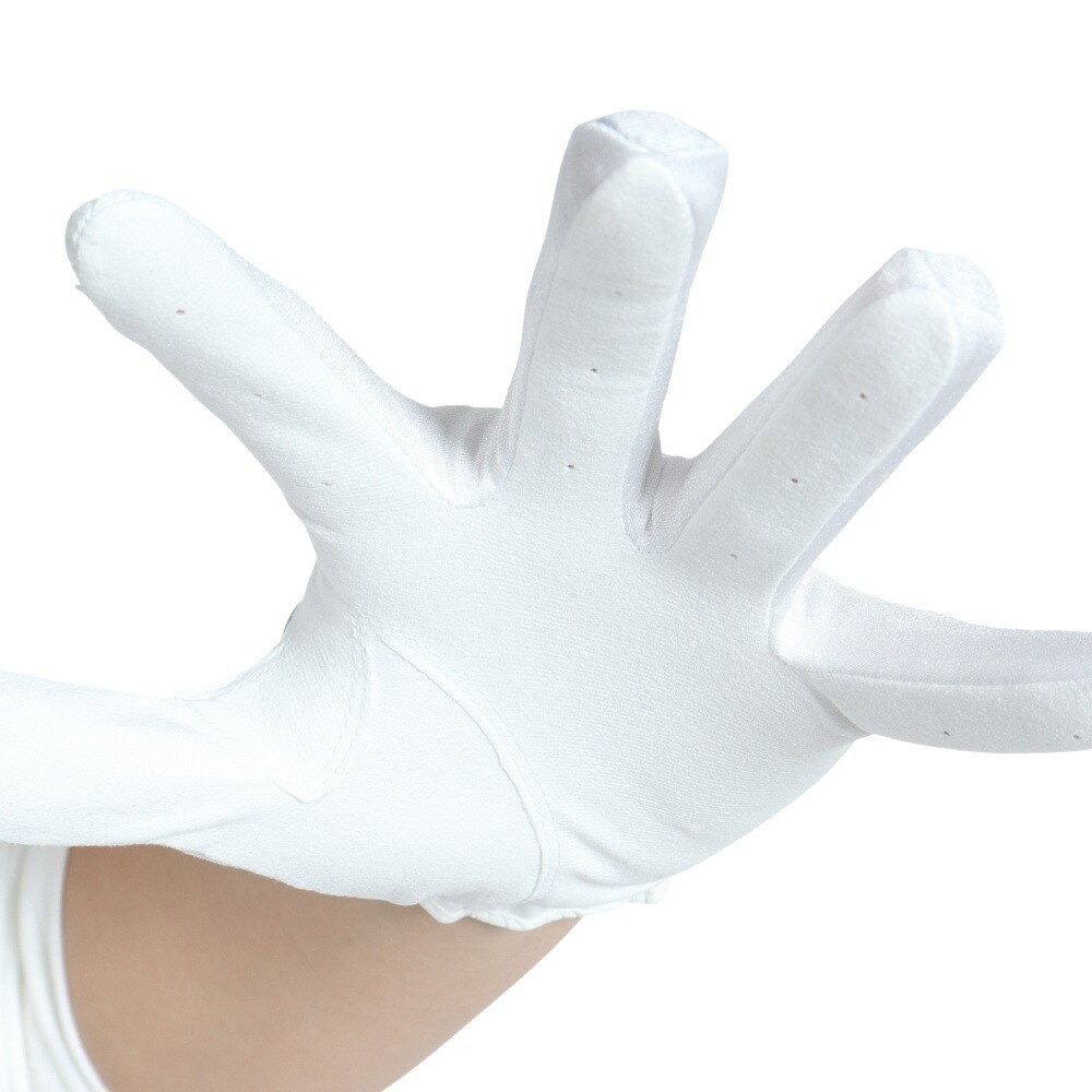 ロイヤルコレクション（ROYALCOLLECTION）（メンズ）ゴルフグローブ 左手用 夏 接触冷感 吸汗速乾 HIGH GRIP&COLD RCG-2204 WHXGY