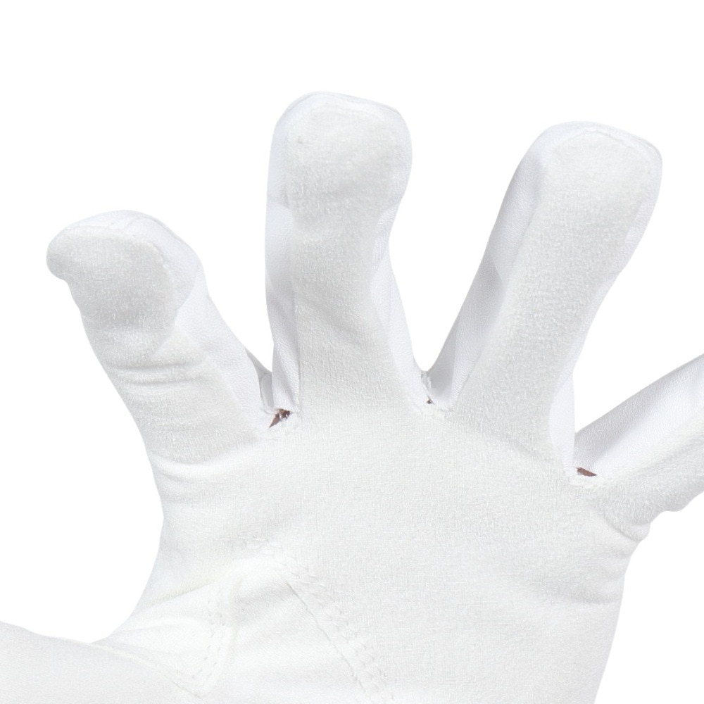 フットジョイ（FOOT JOY）（メンズ）左手用 ナノロックグリップ ゴルフグローブ WT/BK FGNG23WT