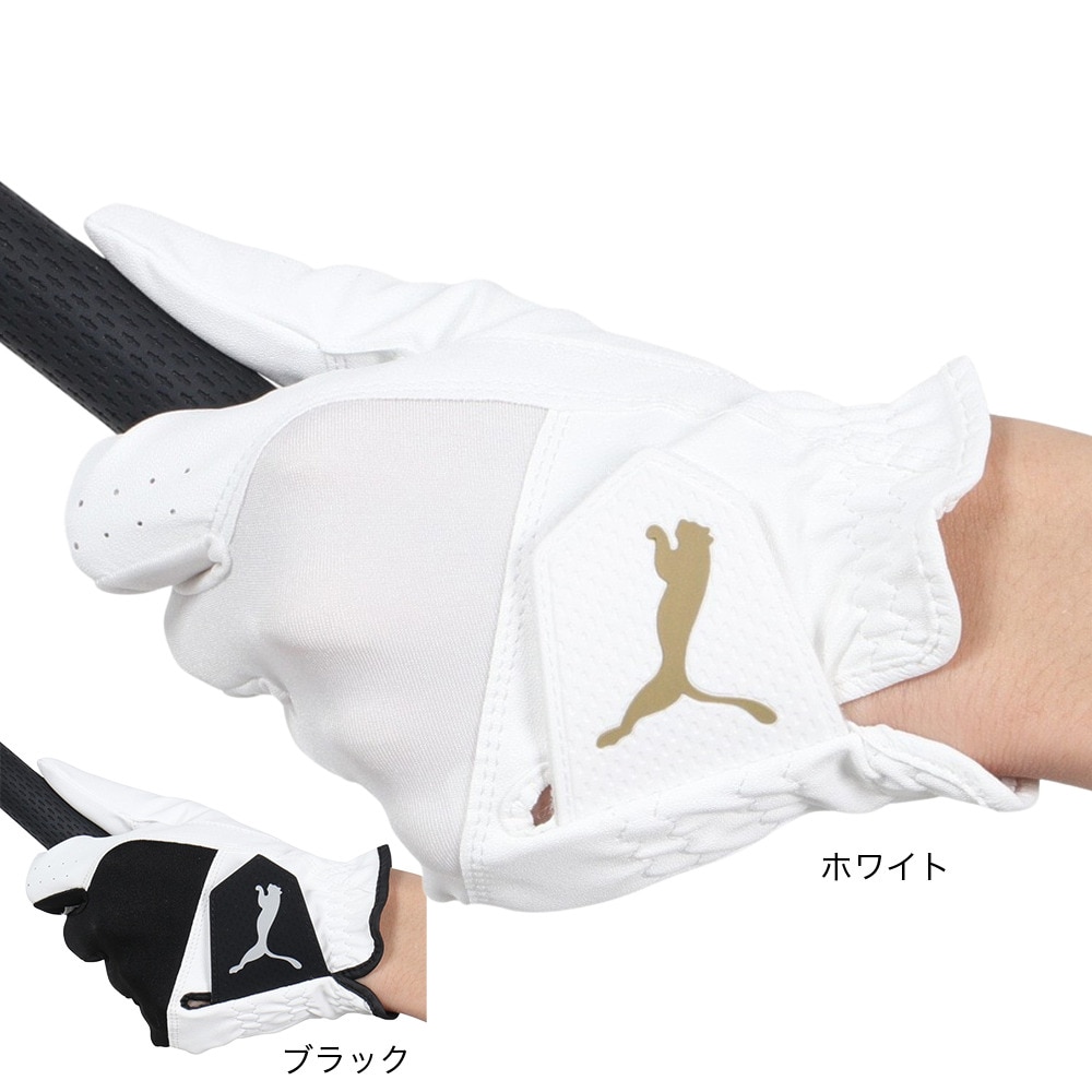 プーマ（PUMA）（メンズ）左手用 ゴルフ エントリーグローブ 042000-01