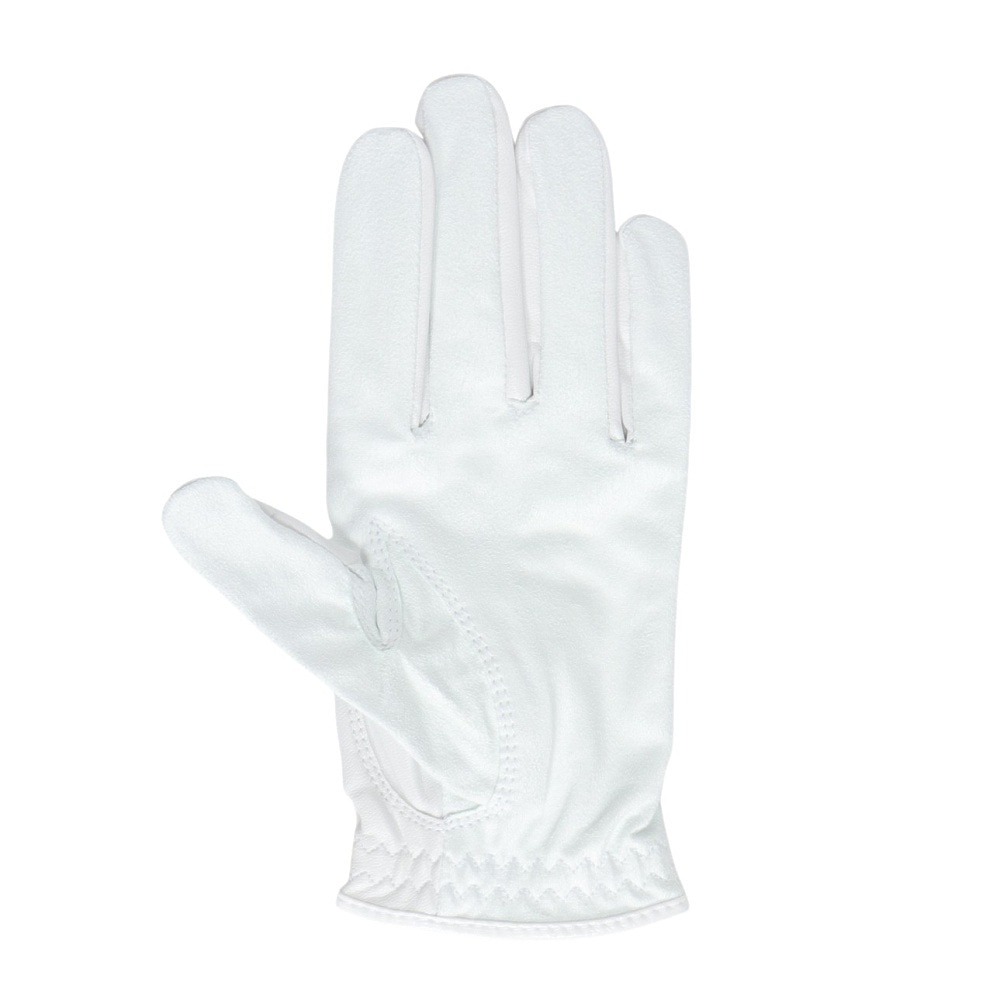 フットジョイ（FOOT JOY）（メンズ）ゴルフグローブ 左手用 24 ナノロック ツアー FGNT24WT