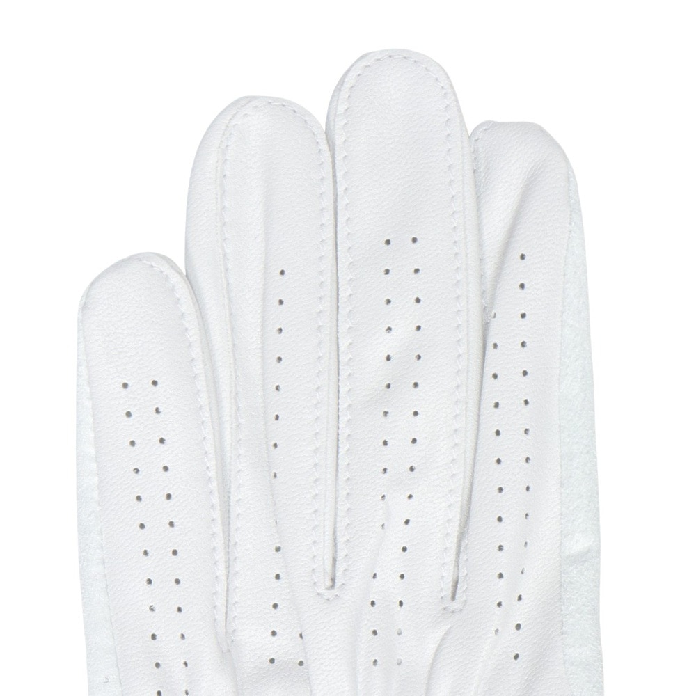 フットジョイ（FOOT JOY）（メンズ）ゴルフグローブ 左手用 24 ナノロック ツアー FGNT24WT