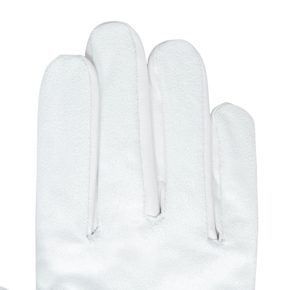 フットジョイ（FOOT JOY）（メンズ）ゴルフグローブ 左手用 24 ナノロック ツアー FGNT24WT
