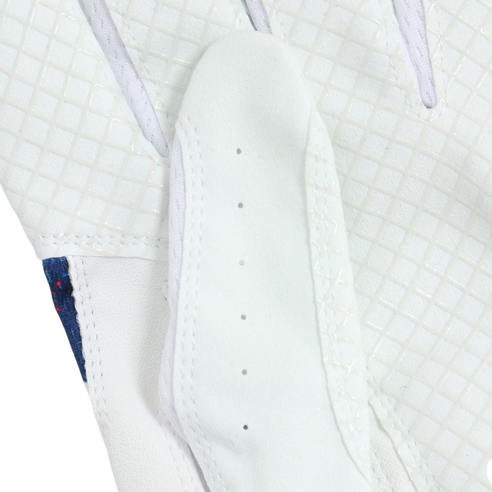 キャロウェイ（CALLAWAY）（メンズ）左手用 ゴルフ グラフィック グローブ 5325048 WHTBLU