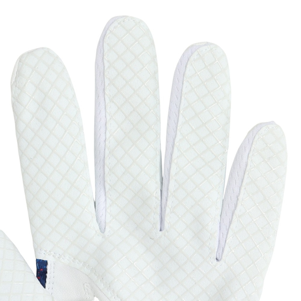 キャロウェイ（CALLAWAY）（メンズ）左手用 ゴルフ グラフィック グローブ 5325048 WHTBLU