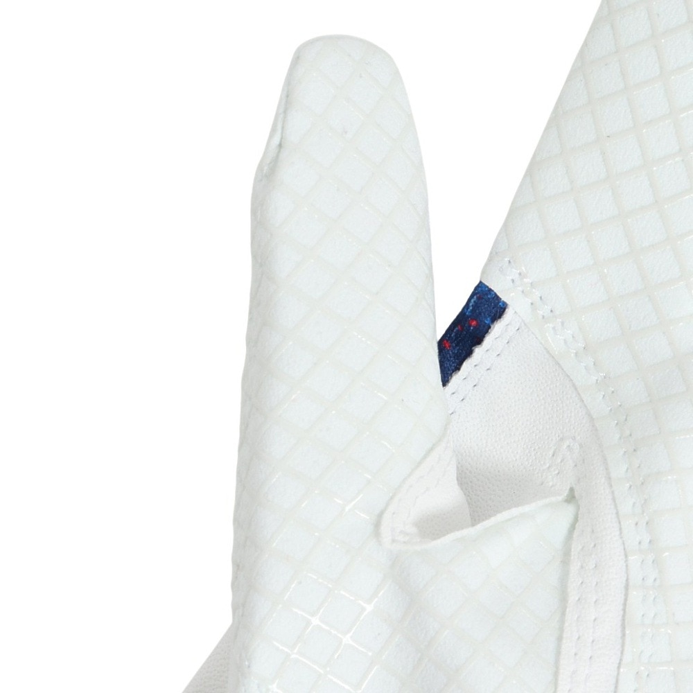 キャロウェイ（CALLAWAY）（メンズ）左手用 ゴルフ グラフィック グローブ 5325048 WHTBLU