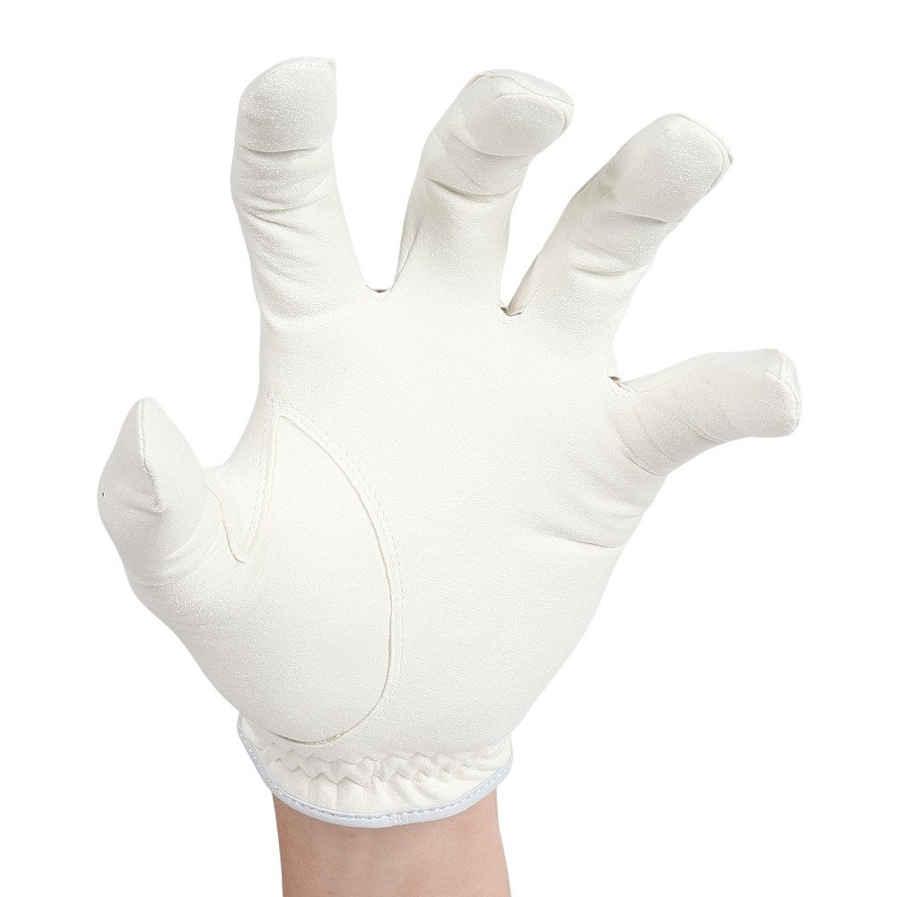 ブリヂストンゴルフ（BRIDGESTONE GOLF）（メンズ）左手用 ゴルフグローブ TOUR GLOVE 2026 GL2602WH