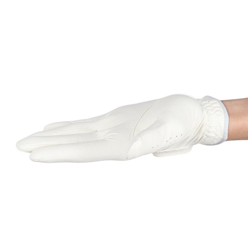 ブリヂストンゴルフ（BRIDGESTONE GOLF）（メンズ）左手用 ゴルフグローブ TOUR GLOVE 2026 GL2602WH