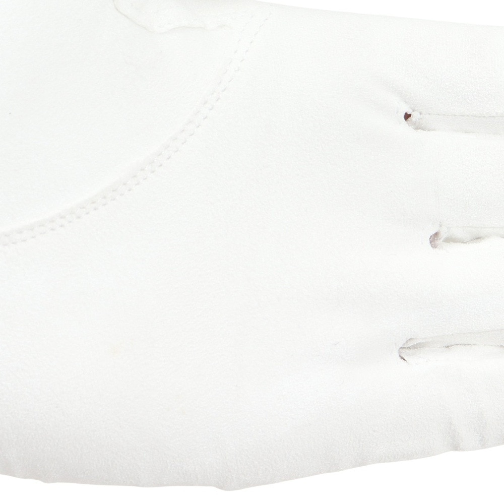 キャスコ（KASCO）（メンズ）左手用 ゴルフグローブ ナノスタッド SF-2518 WHT