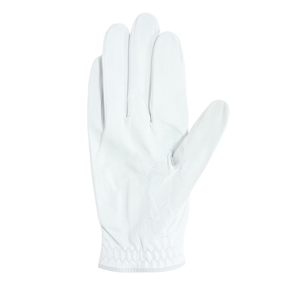 タイトリスト（TITLEIST）（メンズ）右手用 23プロフェッショナル グローブ LHWT TG73LHWT