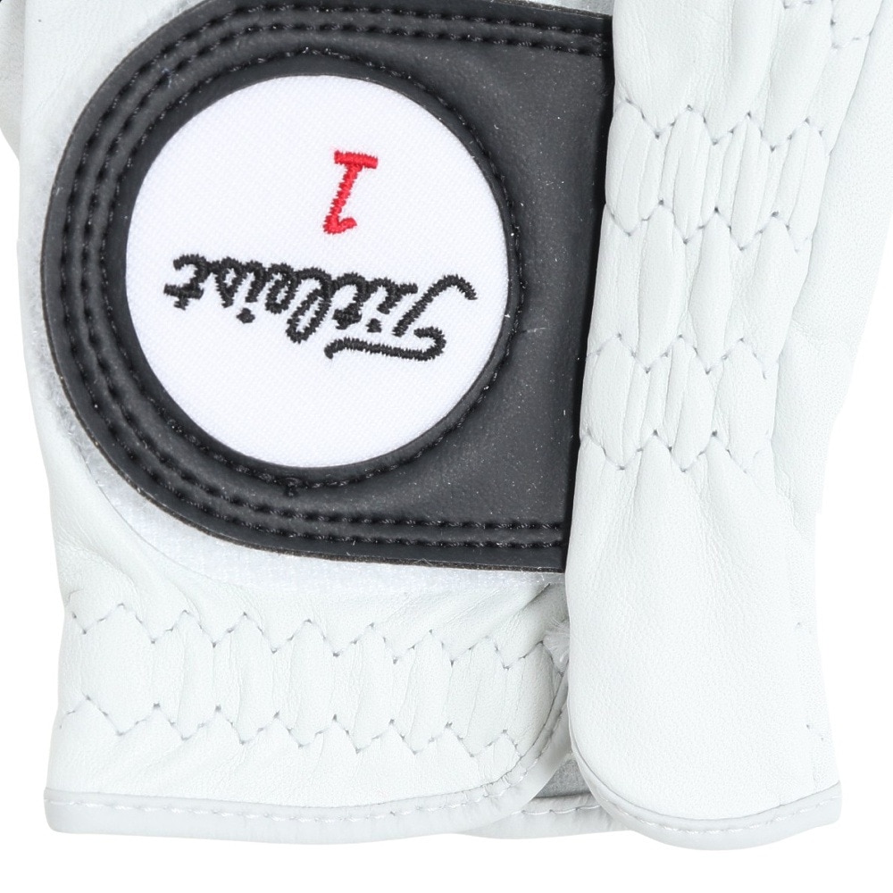 タイトリスト（TITLEIST）（メンズ）右手用 23プロフェッショナル グローブ LHWT TG73LHWT