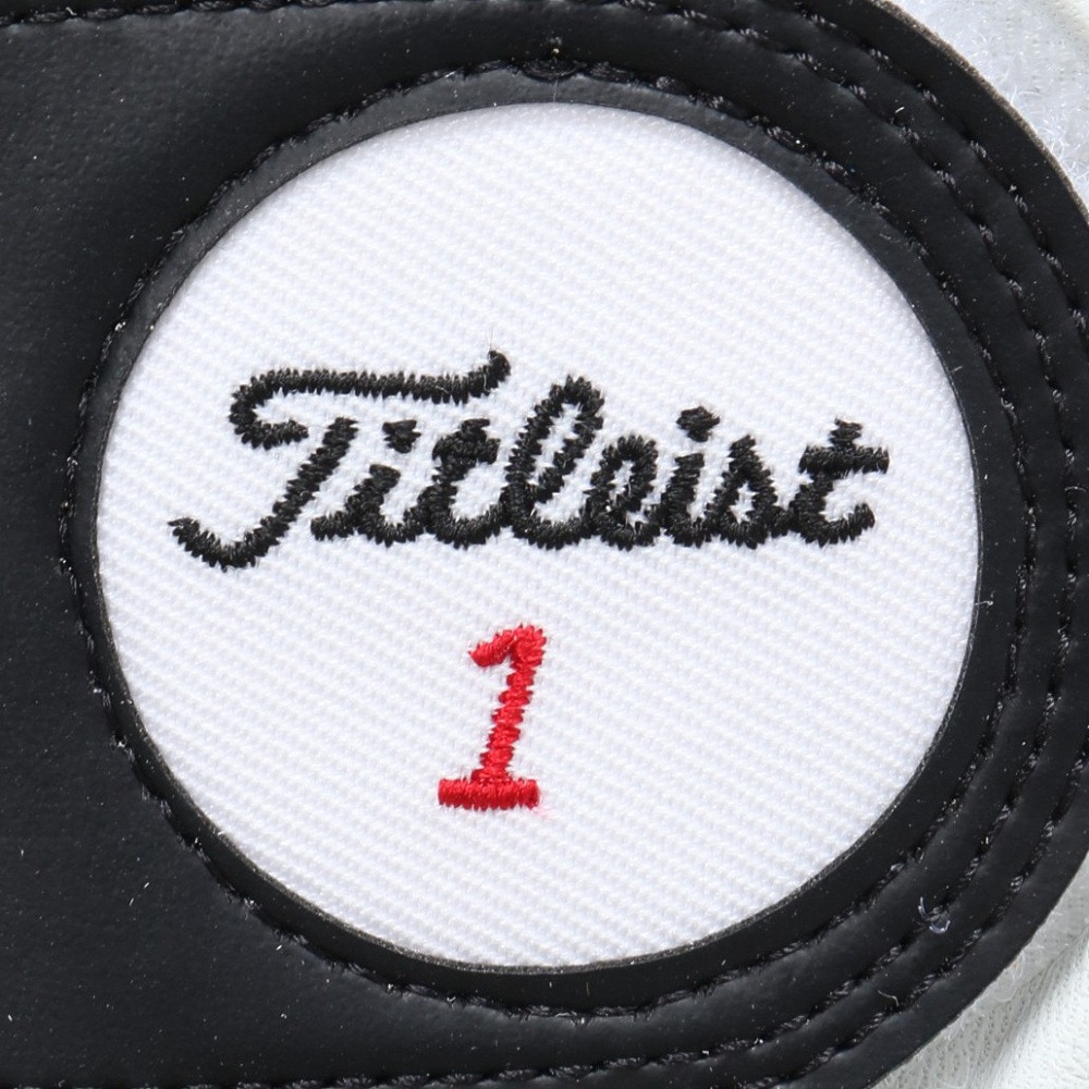 タイトリスト（TITLEIST）（メンズ）右手用 23プロフェッショナル グローブ LHWT TG73LHWT