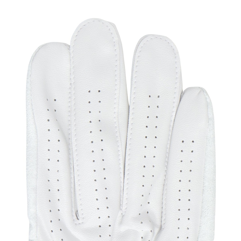 フットジョイ（FOOT JOY）（メンズ）ゴルフグローブ 右手用 24 ナノロック ツアー FGNT24LWT