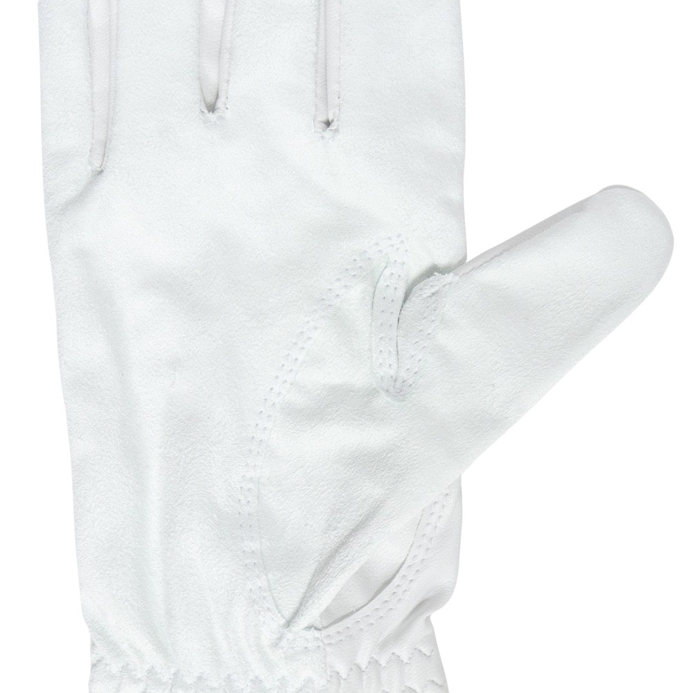 フットジョイ（FOOT JOY）（メンズ）ゴルフグローブ 右手用 24 ナノロック ツアー FGNT24LWT