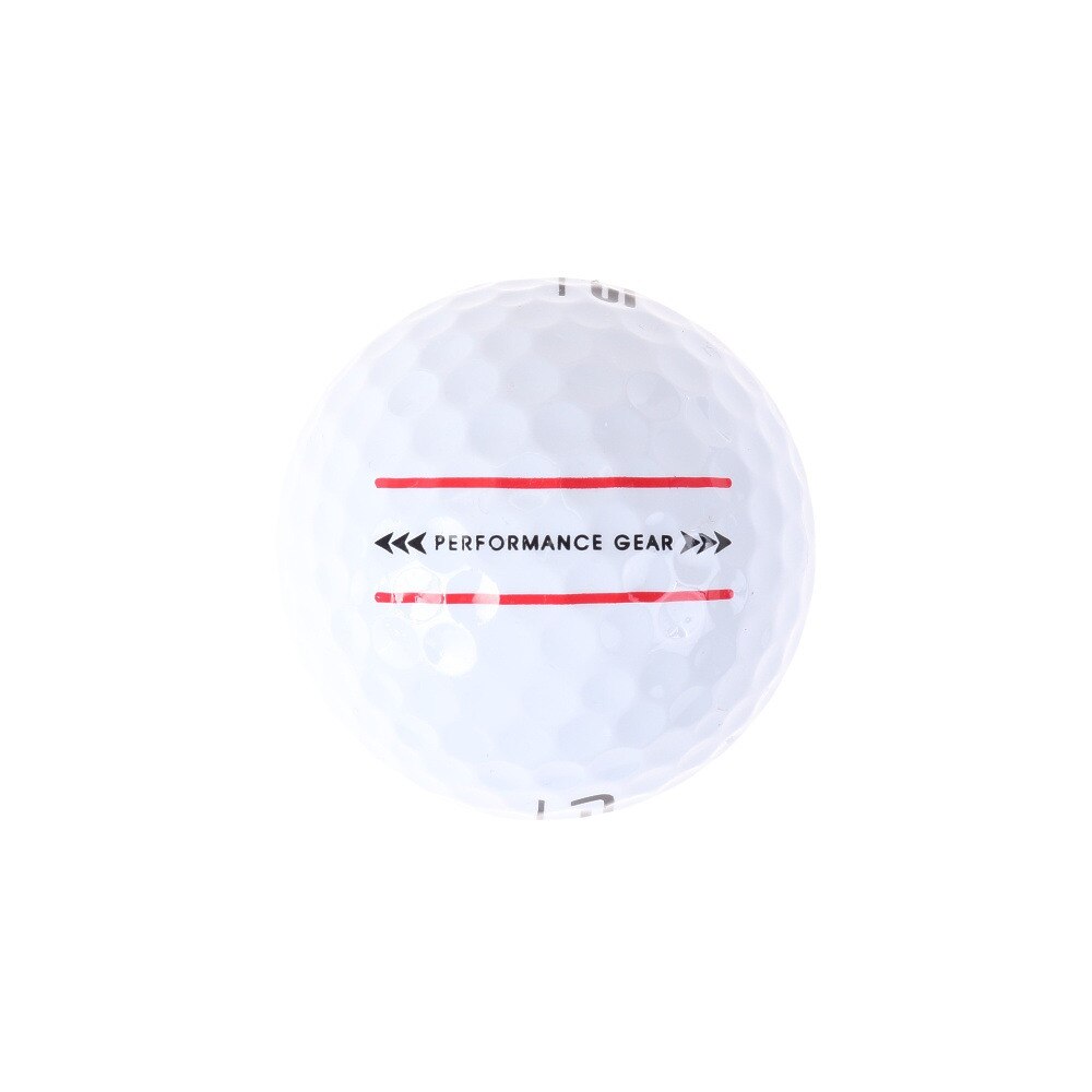 パフォーマンスギア（PG）（メンズ）ネット付きボール 12個入り PGVS1T1501 WHT