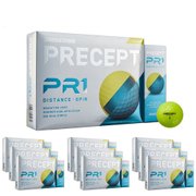 (メンズ)【10ダースセット】ゴルフボール プリセプト PRECEPT PR-1 ダース(120個入り)