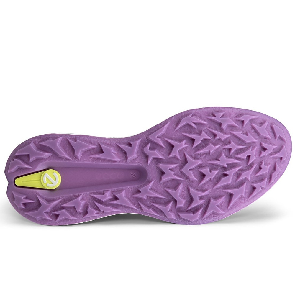 エコー（ecco）（レディース）ゴルフシューズ BIOM H5 WL 11500361058
