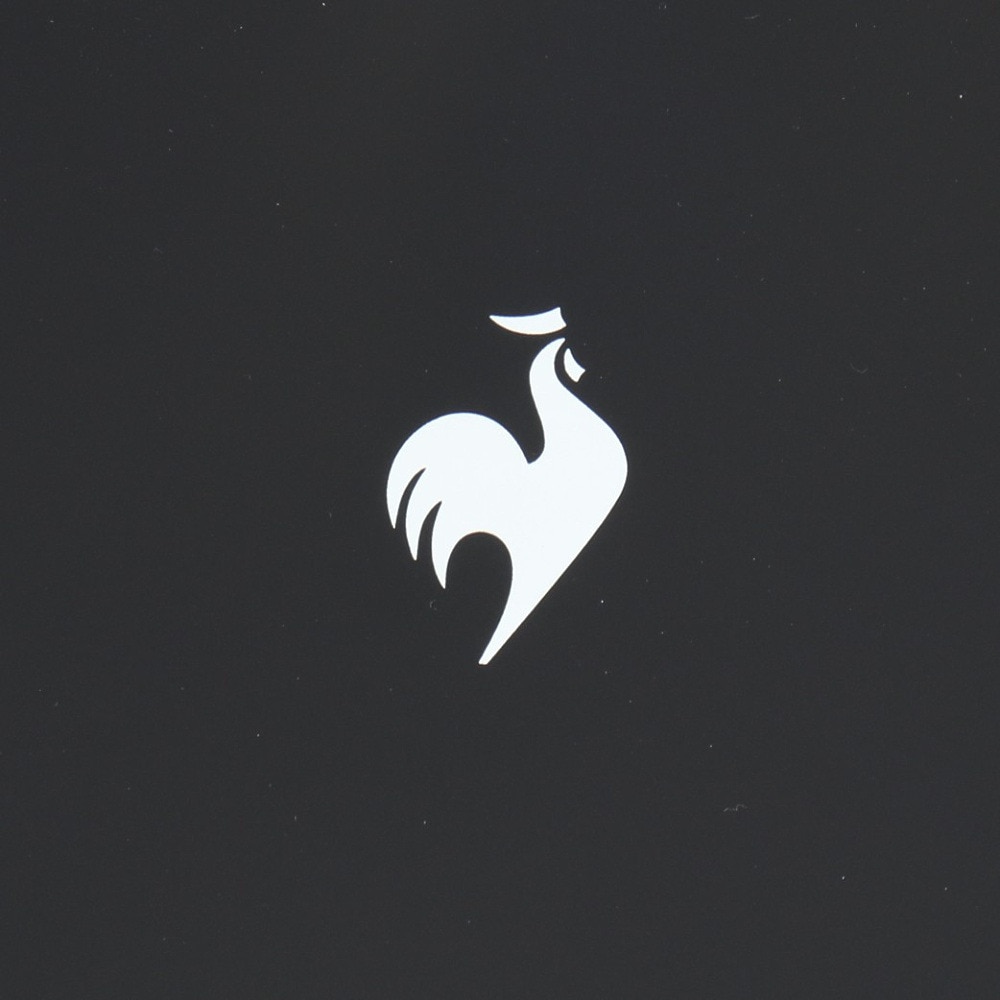 ルコックスポルティフ（lecoqsportif）（メンズ、レディース）二層式 ボストンバッグ シューズ収納可能タイプ LG5FBB00L BK00