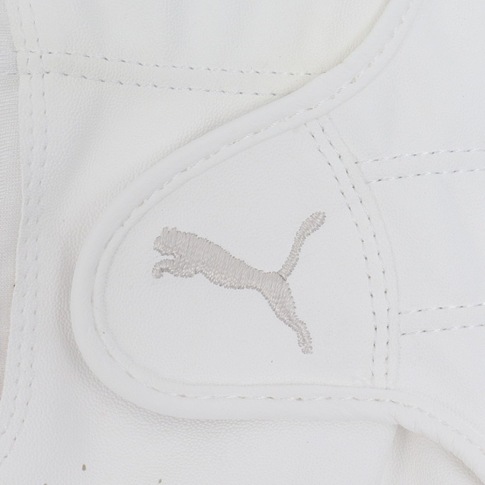 プーマ（PUMA）（レディース）両手用 フュージョン グリップ グローブ 2 041892-03