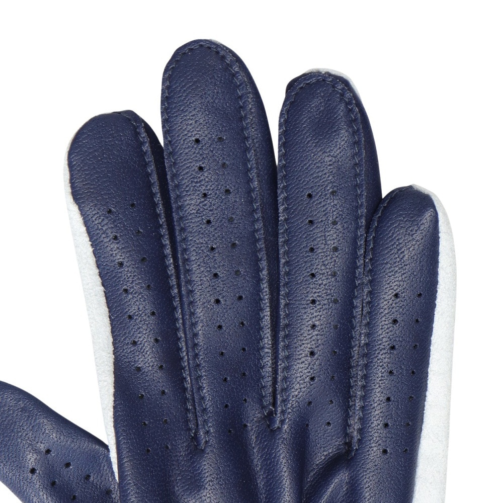 フットジョイ（FOOT JOY）（レディース）ゴルフグローブ 両手用 24 ナノロック レディ FGNL4PRNV
