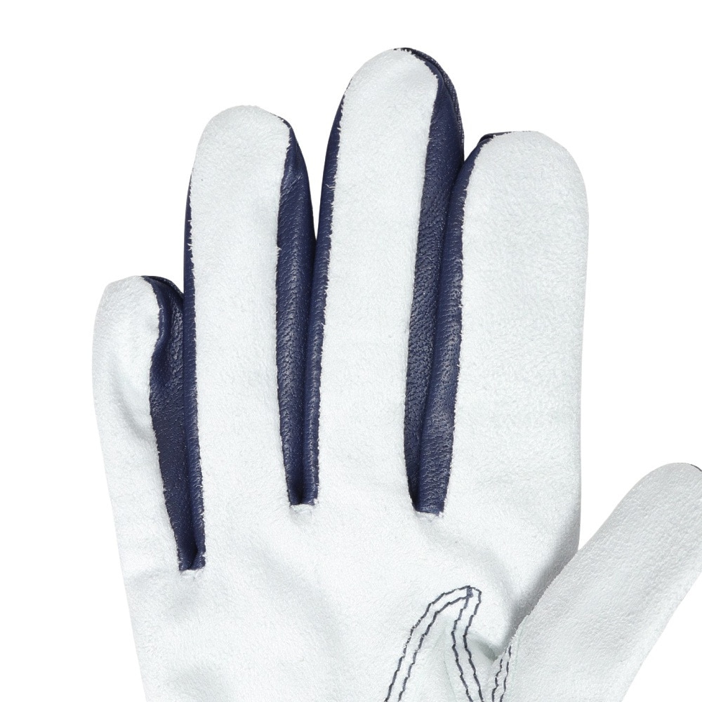 フットジョイ（FOOT JOY）（レディース）ゴルフグローブ 両手用 24 ナノロック レディ FGNL4PRNV