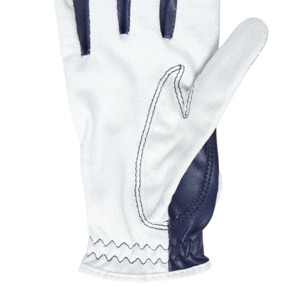 フットジョイ（FOOT JOY）（レディース）ゴルフグローブ 両手用 24 ナノロック レディ FGNL4PRNV