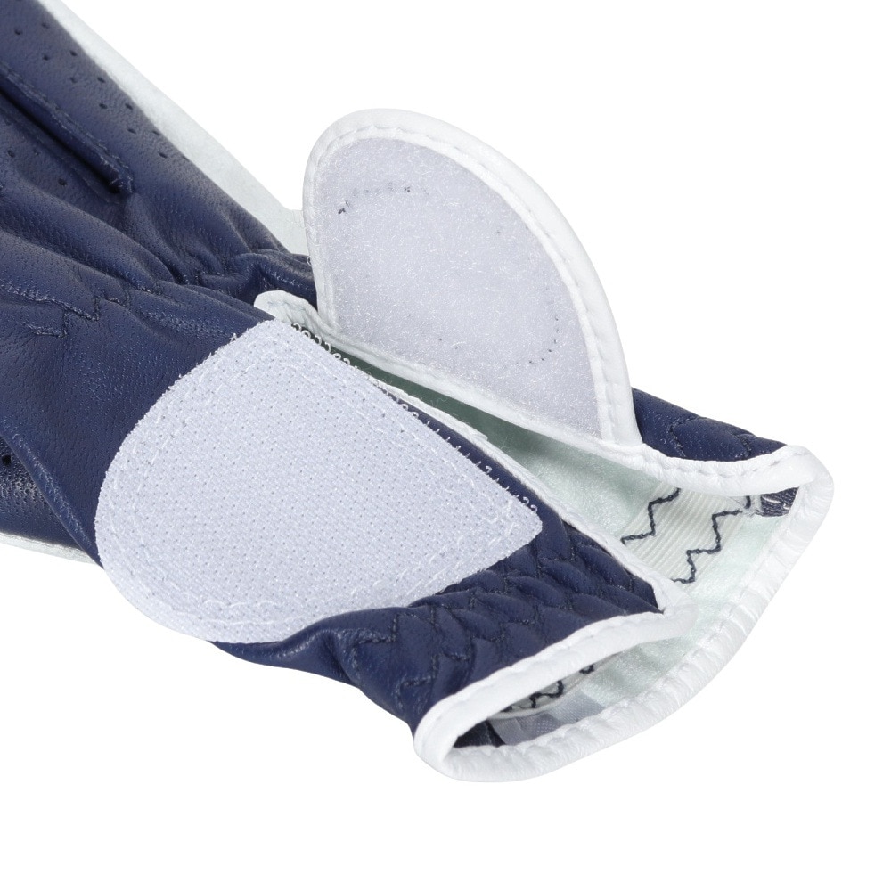 フットジョイ（FOOT JOY）（レディース）ゴルフグローブ 両手用 24 ナノロック レディ FGNL4PRNV