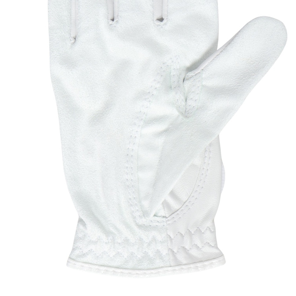 フットジョイ（FOOT JOY）（レディース）ゴルフグローブ 両手用 24 ナノロック レディ FGNL4PRWT
