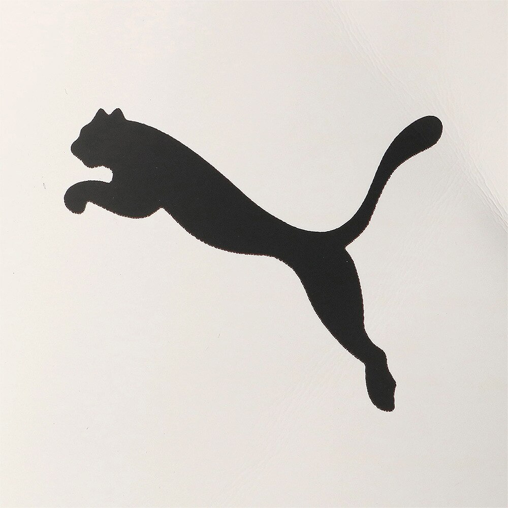 プーマ（PUMA）（メンズ）ゴルフ ベーシック ヘッドカバー パター用 PT用 867985-02