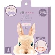 (レディース)お腹に貼るカイロ ラベンダー 3枚入り 4991936388026