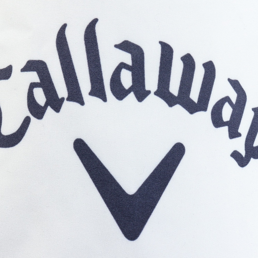 キャロウェイ（CALLAWAY）（メンズ、レディース）ゴルフ アイスバック型氷嚢 C25298121-1030