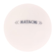 ハタチ（HATACHI）（メンズ、レディース）グラウンドゴルフ シュートボール ホワイト BH3460-01