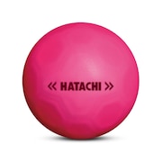ハタチ（HATACHI）（メンズ、レディース）グラウンドゴルフ SHOOTボール BH3460-64