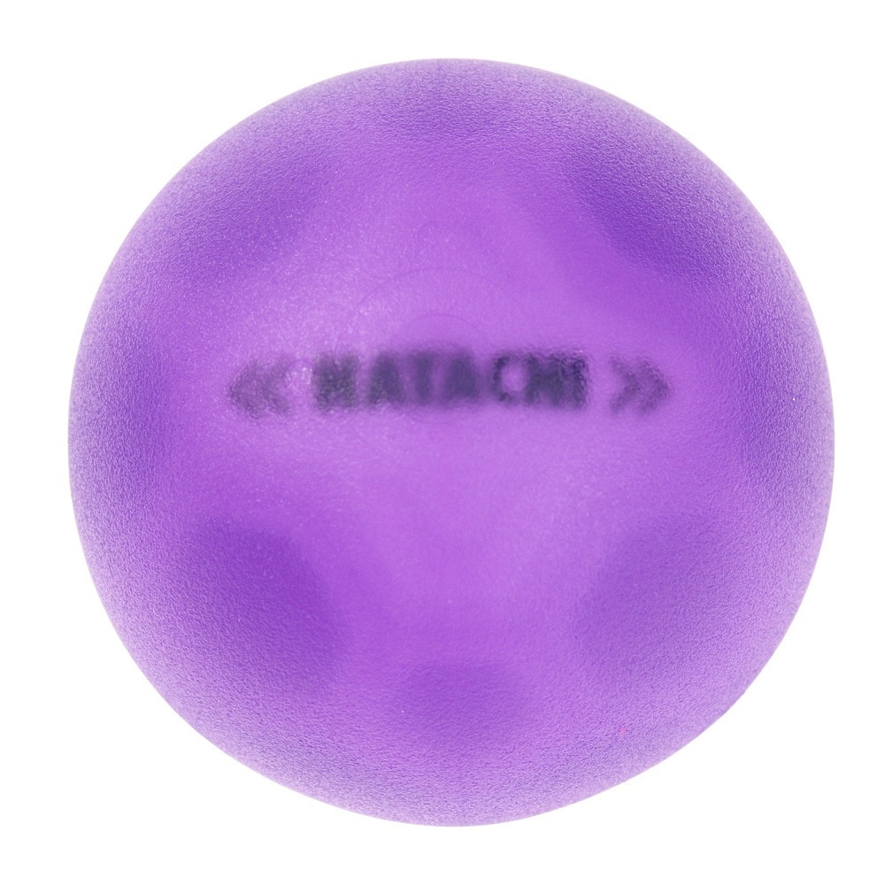 ハタチ（HATACHI）（メンズ、レディース）グラウンドゴルフ シュートボール パープル BH3460-68