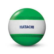 ハタチ（HATACHI）（メンズ、レディース）グラウンドゴルフ ナビゲーションボール グリーン BH3851-35