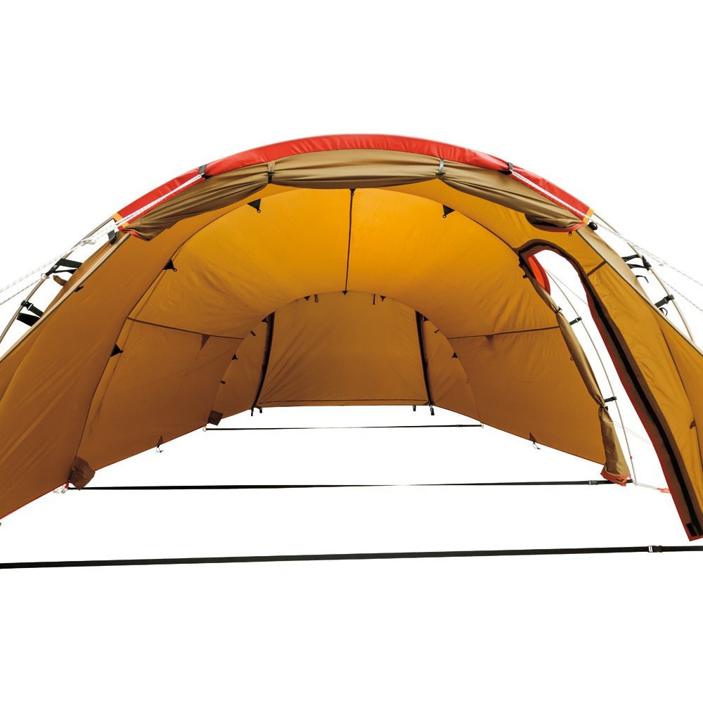 スノーピーク（snow peak） 野遊びセット キャンプ テント 4人用 エントリーパックTTセット FK-239 ペグハンマー PRO.C N-001